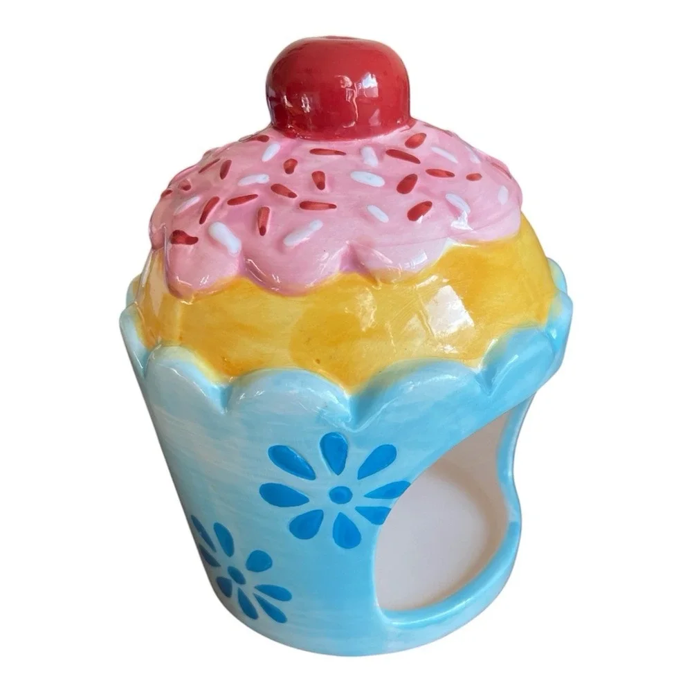 Pier One Imports Sponge Holder Cupcake‎ with Sprinkles Cherry Vibrant Colors